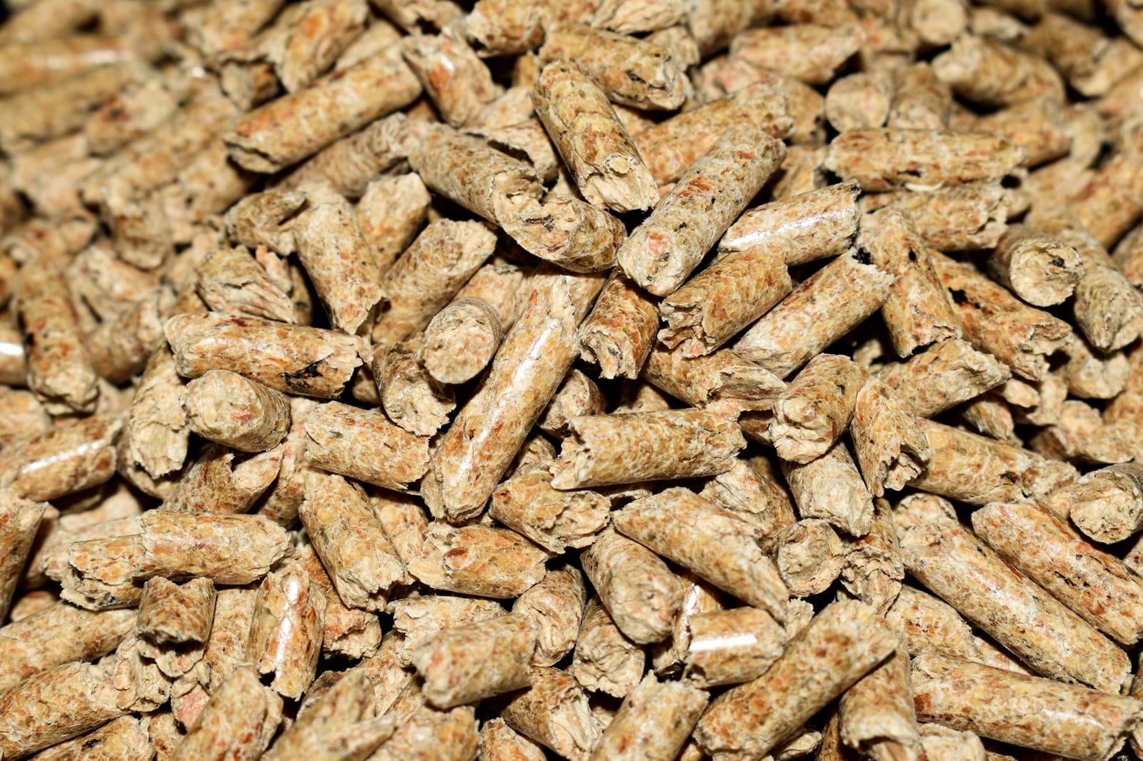 Pellets 4844847 Pellets 4844847